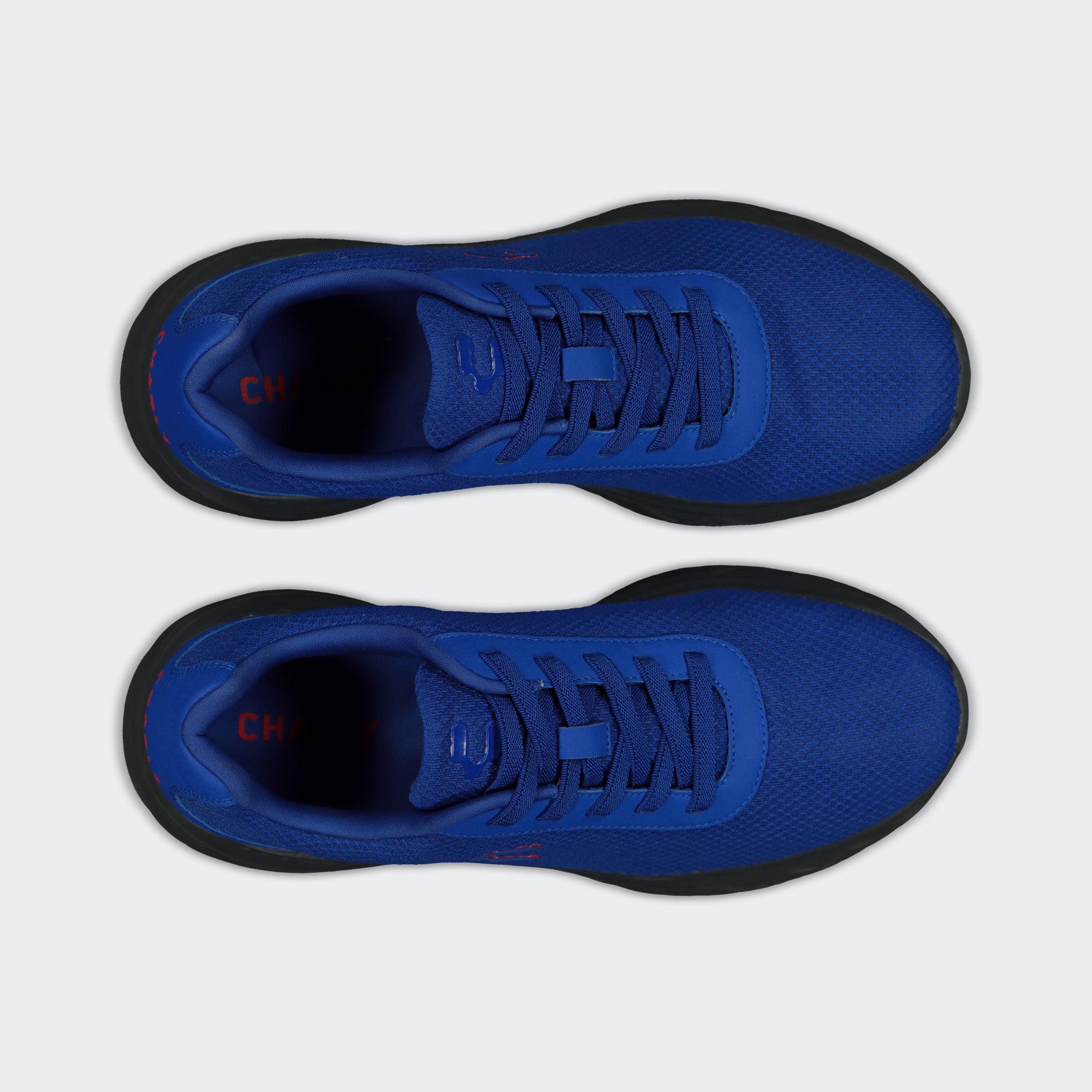 Royal Blue Sport Running Road Casual Shoes for Men Charly Mallard