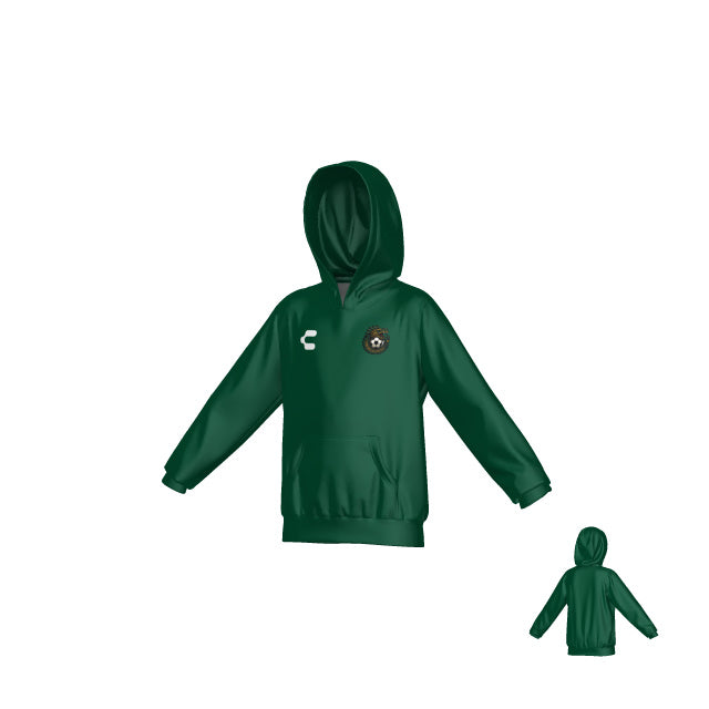 Dragon Dallas Green Hoodie for Boy
