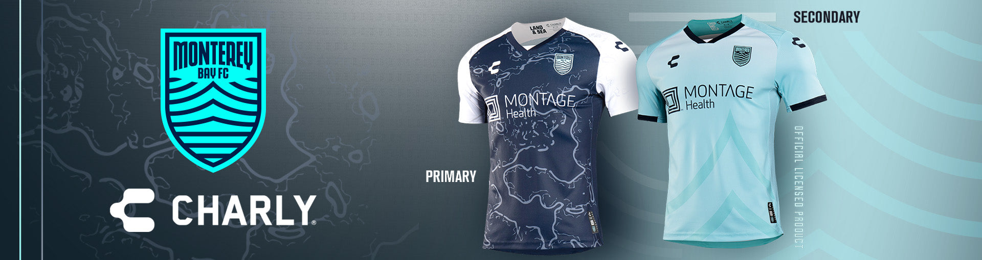 Banner de escritorio